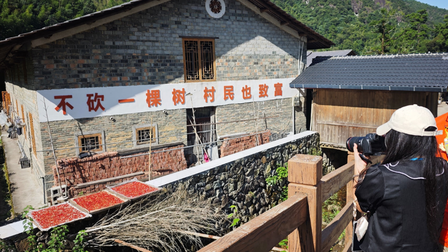 “不砍一棵树，村民也致富”——匡山深处“世外桃源”的出圈记