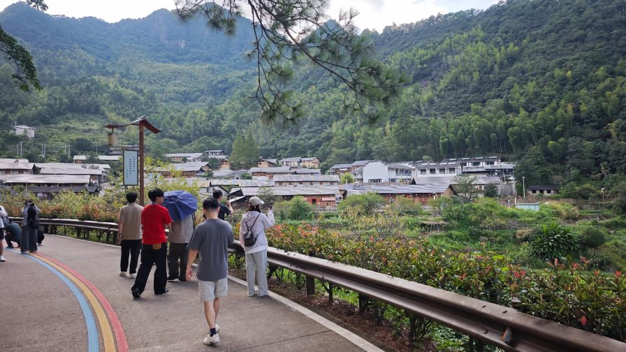 “不砍一棵树，村民也致富”——匡山深处“世外桃源”的出圈记