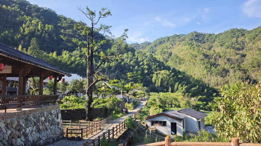 “不砍一棵树，村民也致富”——匡山深处“世外桃源”的出圈记