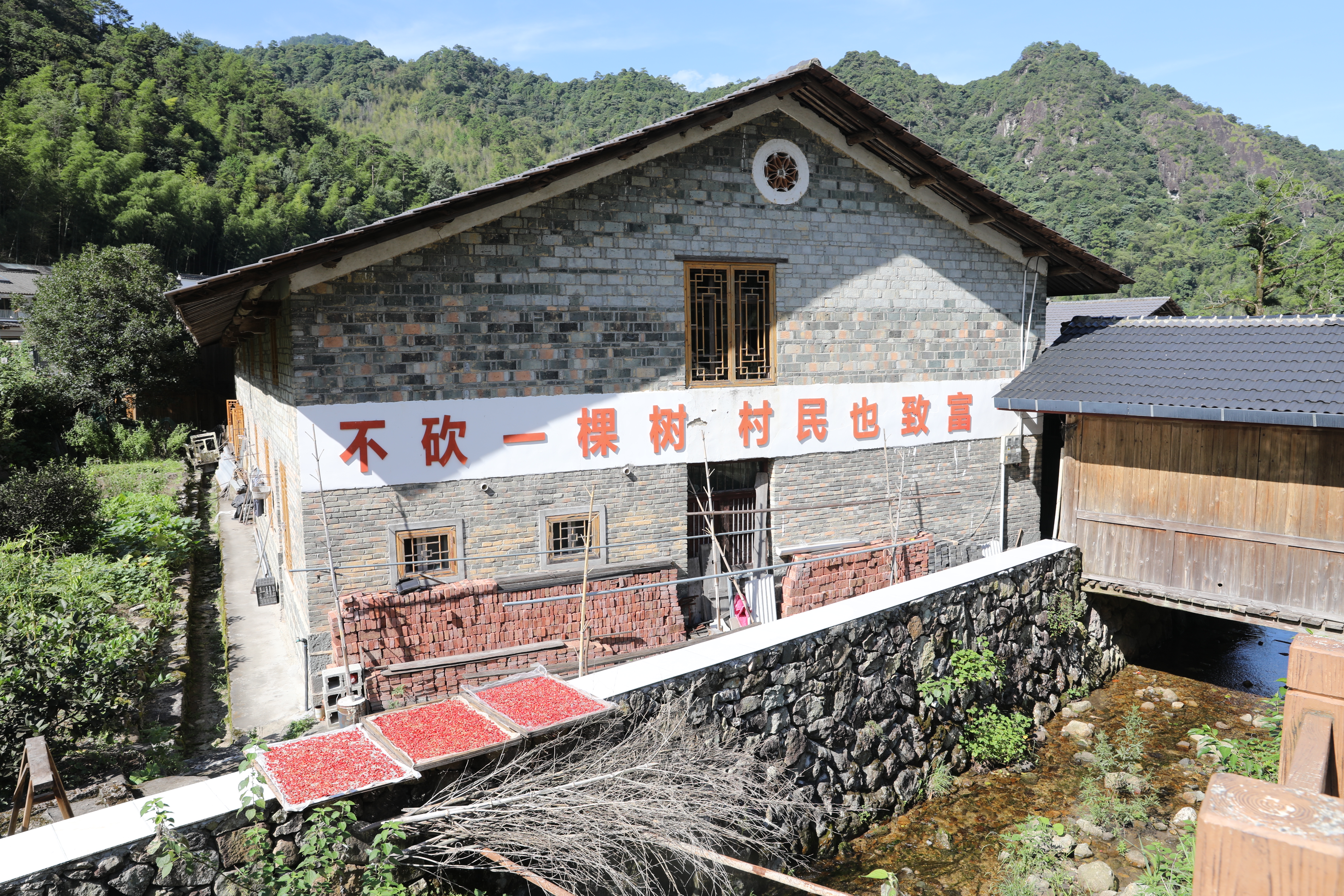 山水好物“酿”出富民新景——2026年福建电商助农联盟系列活动走进南平浦城