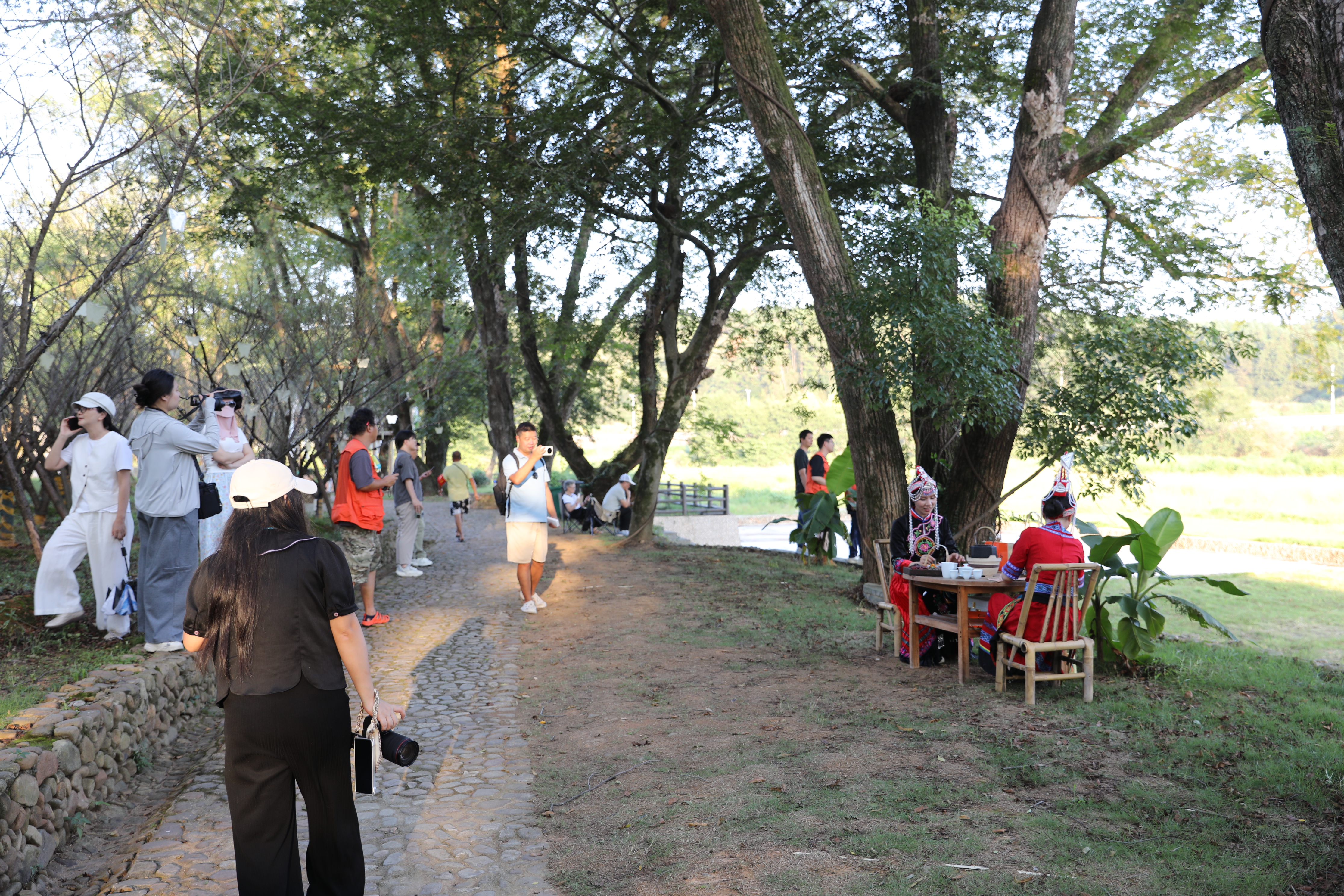 山水好物“酿”出富民新景——2026年福建电商助农联盟系列活动走进南平浦城
