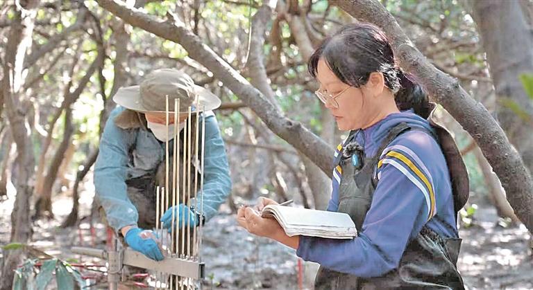 央媒看福建 | 光明日报聚焦:从产业协同到民生相融——两岸标准共通赋能融合发展