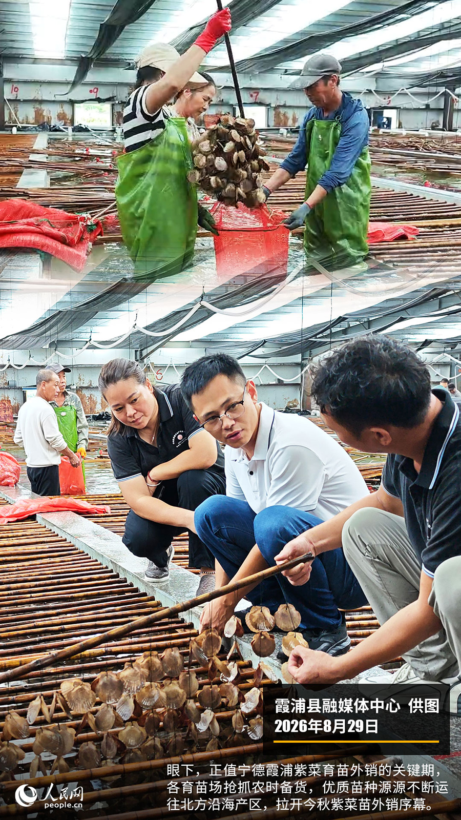 “遇见福建之美”栏目：聚焦福建一周大事记