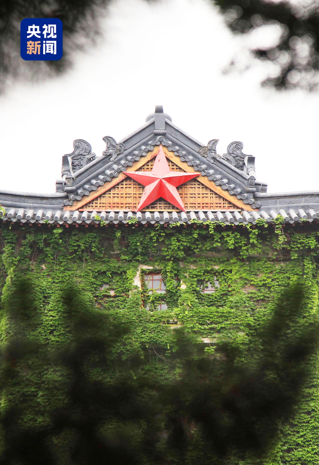 南京大学鼓楼校区古木参天，标志性的北大楼矗立一百多年。