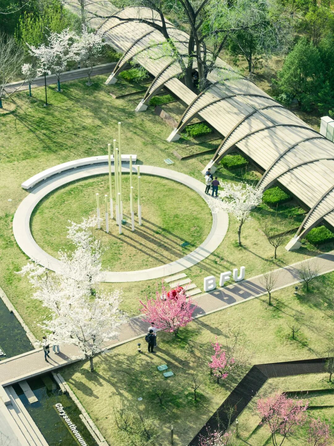 春天的北京林业大学校园。