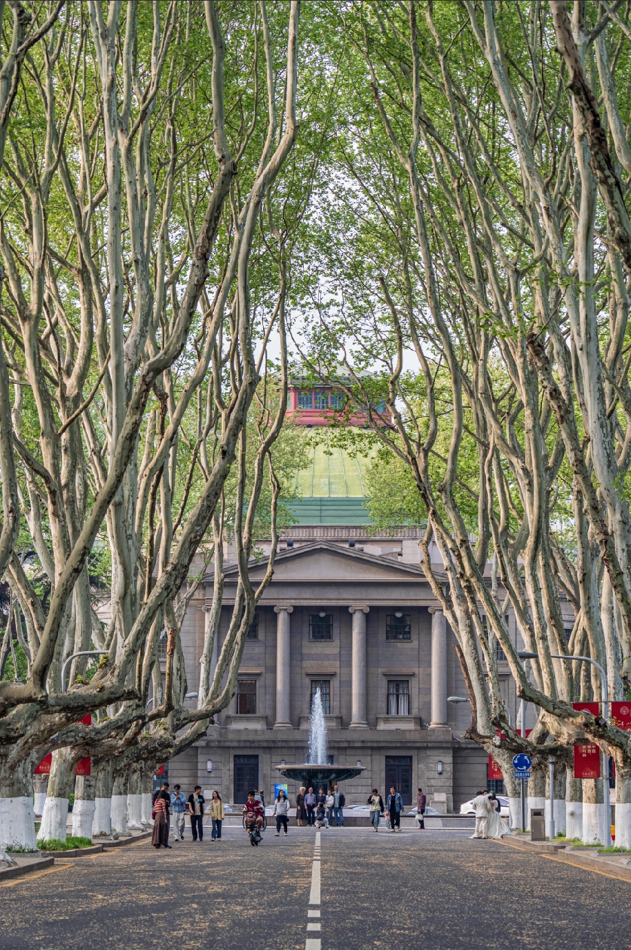 在东南大学，从南校门到大礼堂前，一条梧桐大道，是满载师生珍贵回忆的“最美200米”。