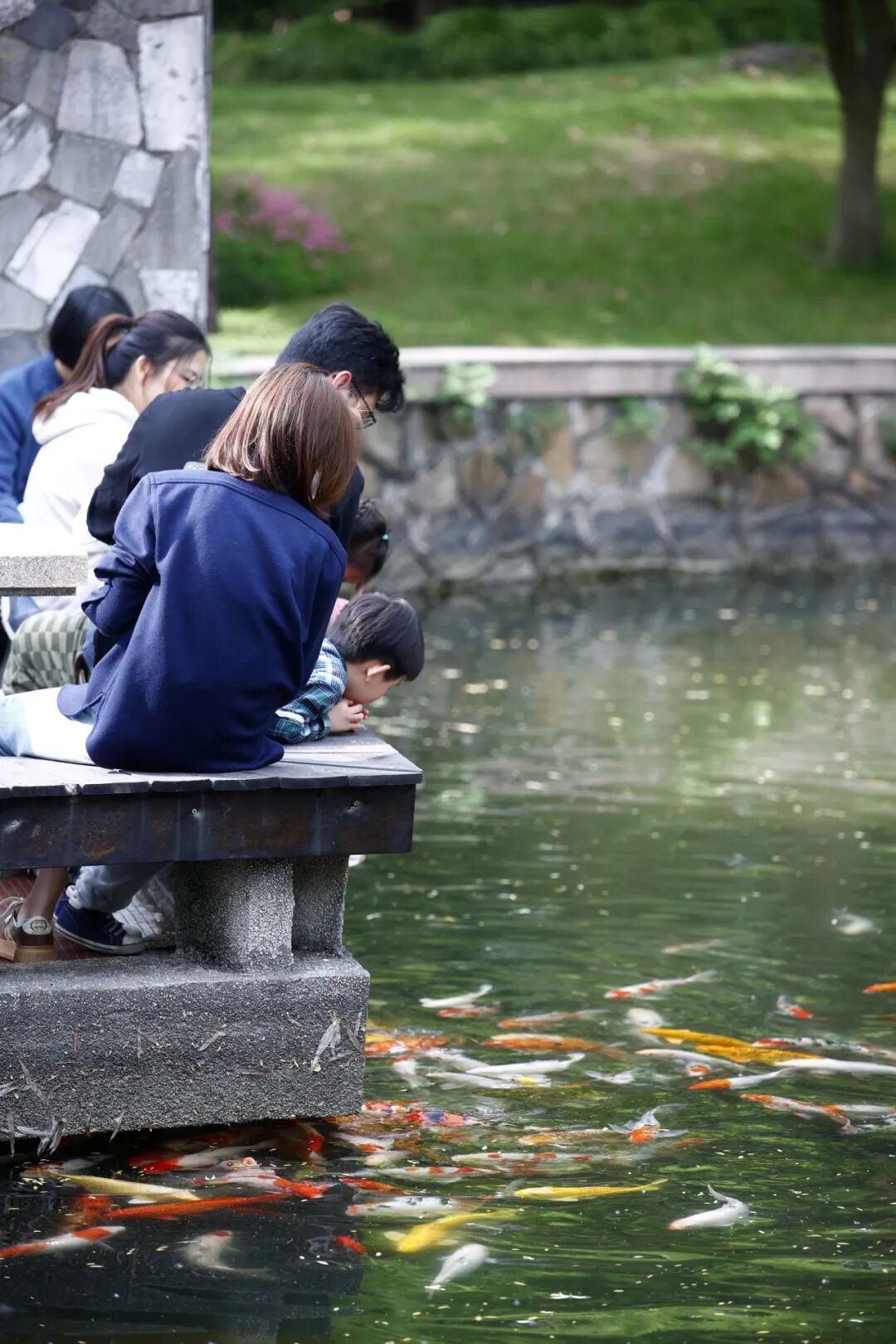 复旦大学恰似一座城市公园，小桥流水、锦鲤游弋、曲径通幽……漫步在校园中，点点水波荡漾着四季，晕开一抹校园里的清幽。