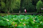 这就是我想象中大学最美的样子！