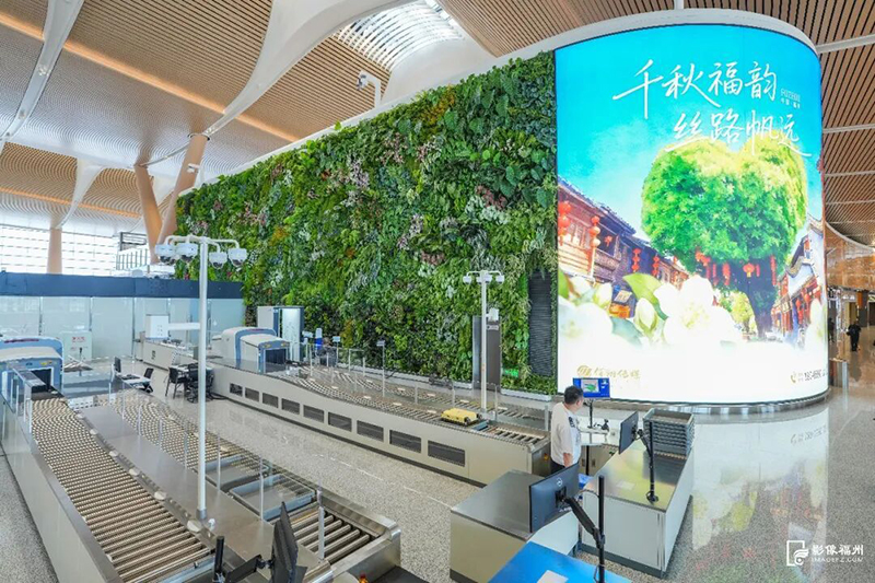 内部打造垂直绿化景观墙，搭配了五十余种仿真植物与鲜活绿植。记者 包华 摄