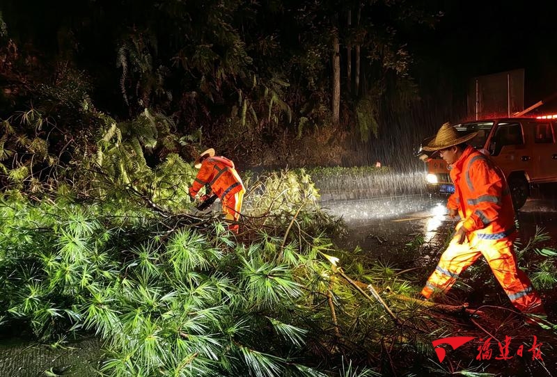 2日凌晨，南平市政和县国道353线镇前路段出现树木倒伏险情。当地公路养护人员接报后，迅速冒雨奔赴现场，经半小时紧急处置，道路恢复畅通。陈沫 王玥明 摄