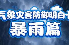 暴雨高发季，多场景防范知识请掌握！
