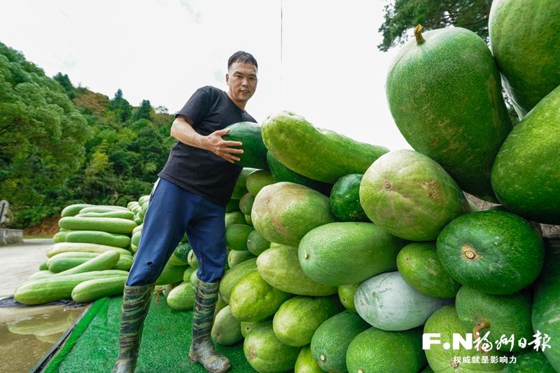 闽清桔林乡的乡村振兴“三件套”