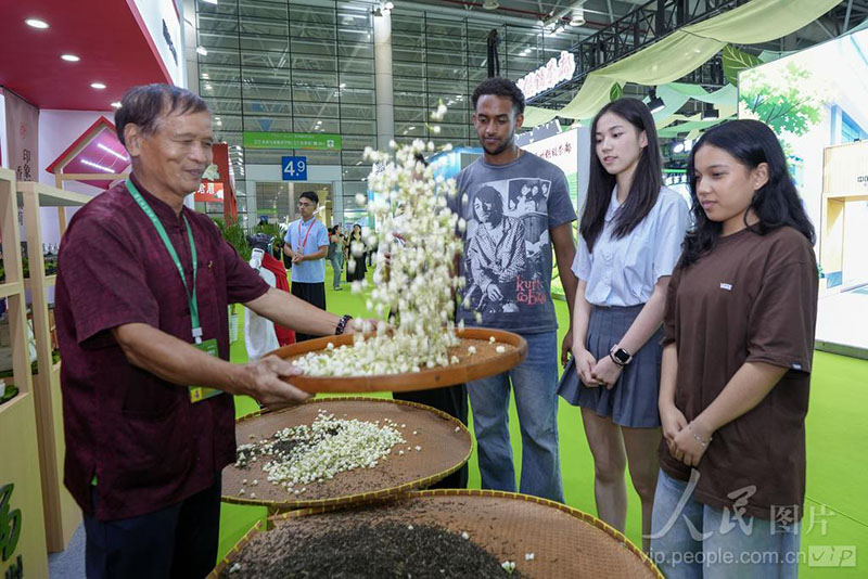 福州外语外贸学院留学生在春伦展位观看茉莉花茶非遗窨制技艺。