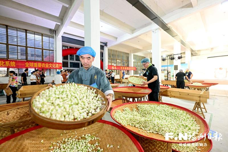市茉莉花茶传统工艺传承大赛实操考试上，参赛选手正在筛花。记者 石美祥 摄
