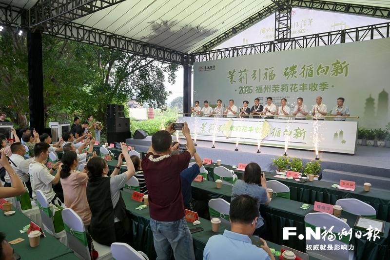 永泰春伦茉莉花基地每年举办丰收季活动。记者 石美祥 摄