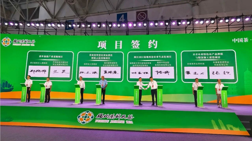 第六届福州茉莉花茶文化节开幕开幕 闽清现代农业（茉莉花茶）产业园受关注
