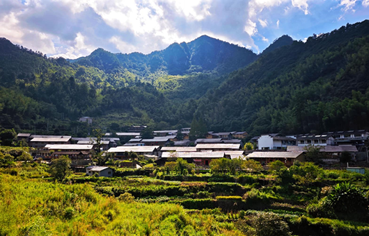 “不砍一棵树，村民也致富”——匡山深处“世外桃源”的出圈记
