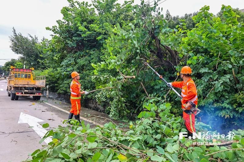 福州：风雨初歇 全力以“复”