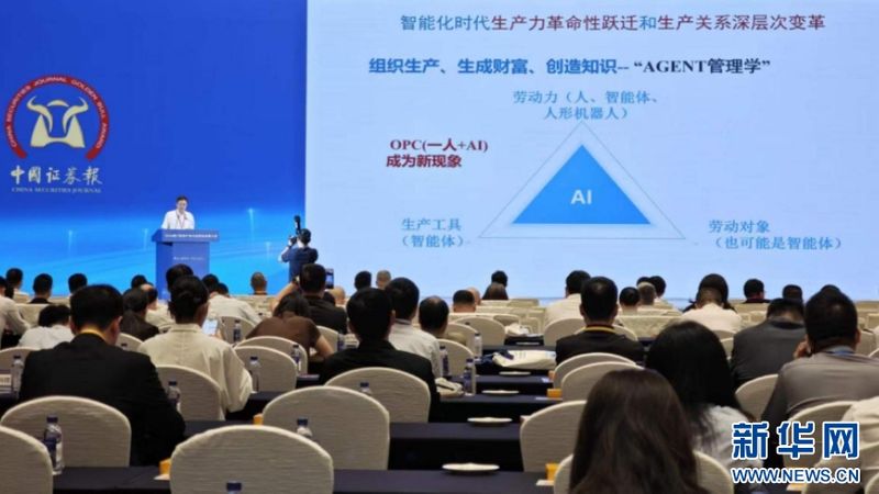 嘉宾演讲现场。新华网 刘默涵 摄
