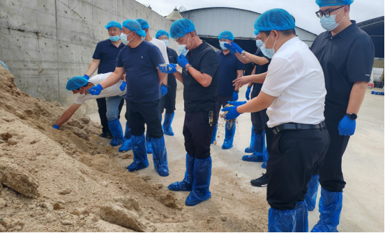 万雄牧场生产现场观摩学习复合青贮技术