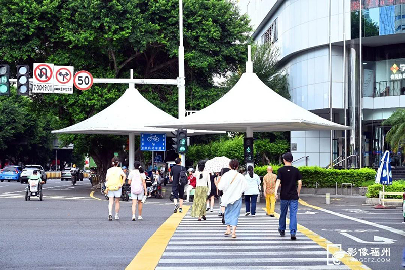 五四路东大路口的“白色巨伞”成为一道亮丽的风景线。记者 叶诚 摄