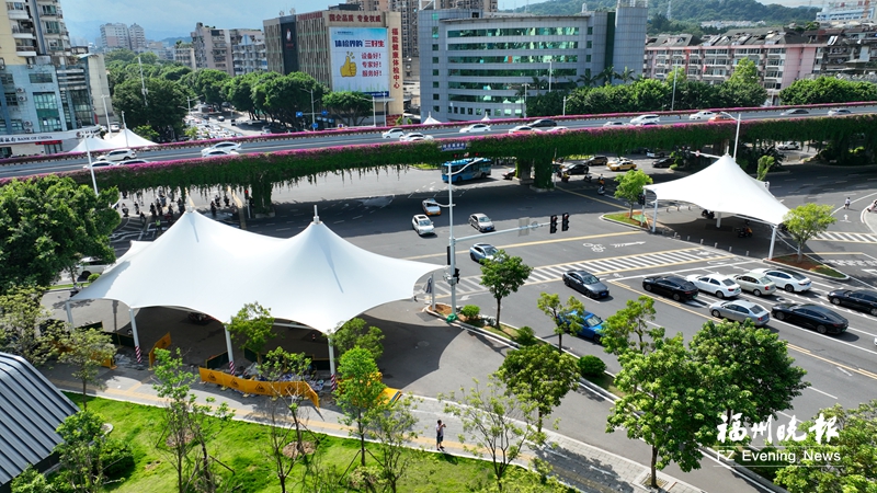 二环路杨桥路口的巨型遮阳棚已投用。记者 叶诚 摄