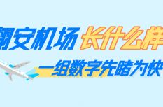 一组数字揭秘厦门翔安国际机场！