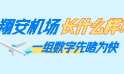 一组数字揭秘厦门翔安国际机场！