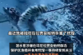 中国男子否认渔猎玳瑁：真凶或已离境 当事人已被印尼移民局拦截