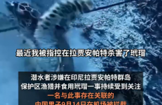 中国男子否认渔猎玳瑁：真凶或已离境 当事人已被印尼移民局拦截