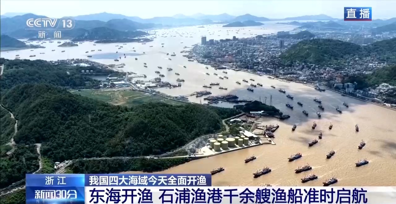 全面开渔!我国四大海域伏季休渔结束