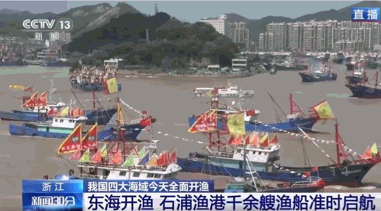 全面开渔!我国四大海域伏季休渔结束