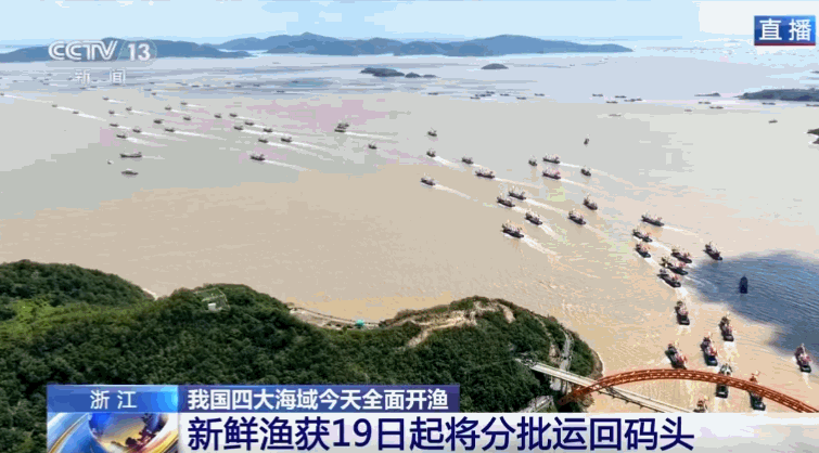 全面开渔!我国四大海域伏季休渔结束