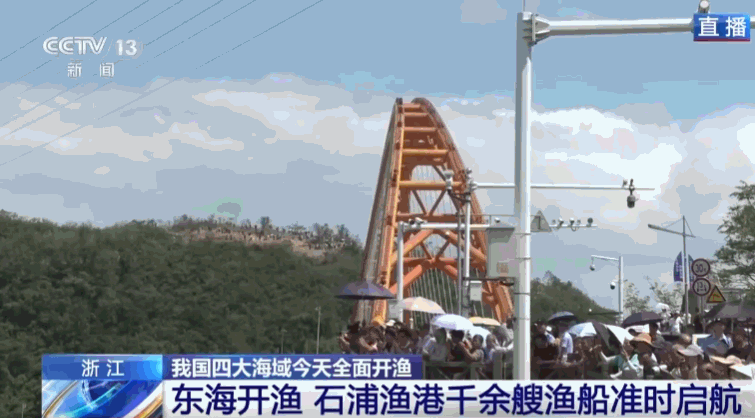 全面开渔!我国四大海域伏季休渔结束