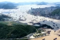全面开渔！我国四大海域伏季休渔结束