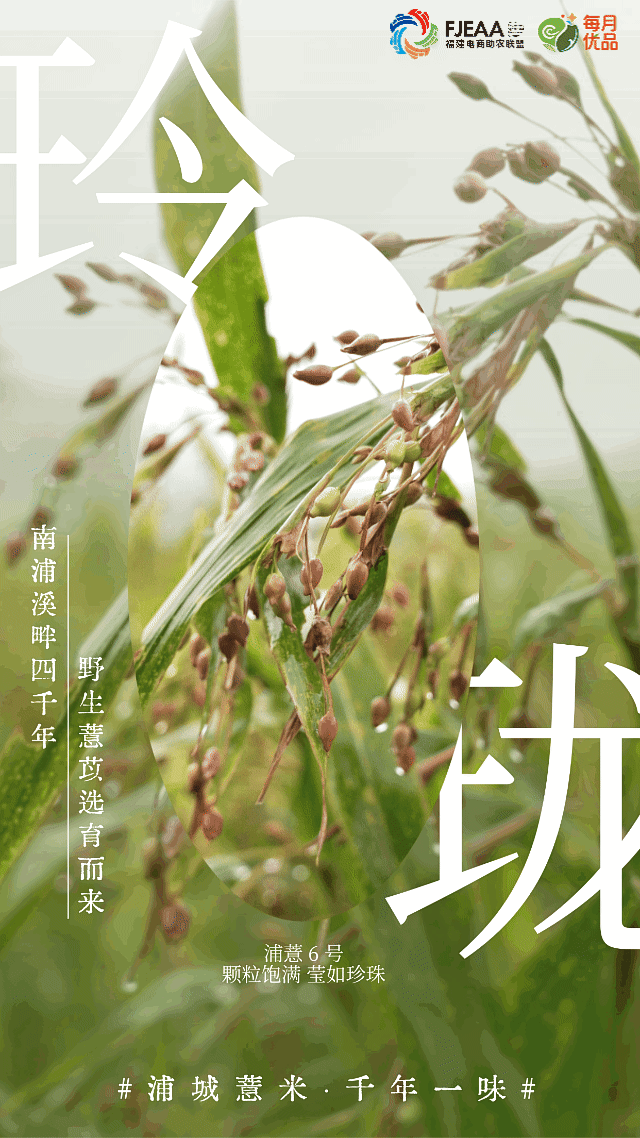 玲珑