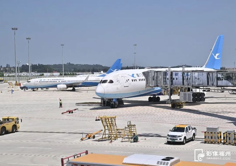厦门航空转场至T2航站楼。记者 郑帅 摄