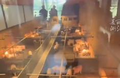 猪景房8888元一晚 送6888元两头乌 牧场回应：实为年卡套餐