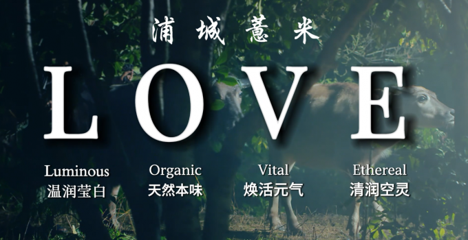 用LOVE解读福建这颗珍珠薏米！