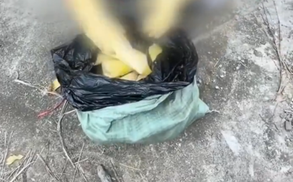 广东清远通报硫磺熏蒸麻竹笋 涉事原料产品已查封