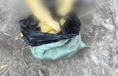 广东清远通报硫磺熏蒸麻竹笋 涉事原料产品已查封