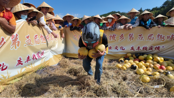 稻田趣赛庆丰年！永泰霞拔乡丰收嘉年华解锁乡村农趣