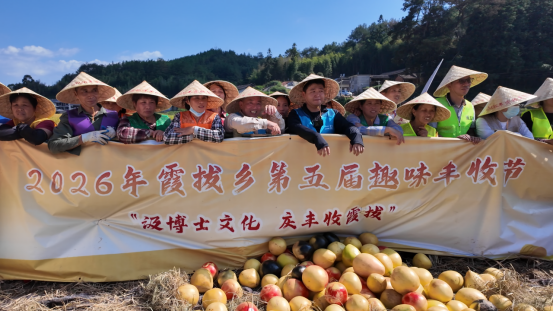 稻田趣赛庆丰年！永泰霞拔乡丰收嘉年华解锁乡村农趣