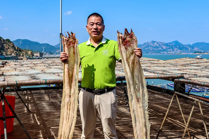新鲜渔获上岸后，先要清洗、去除内脏，将其片成合适大小，再次洗净，撒上盐、糖等调料腌制一小时，随后均匀铺在晾晒网上，在秋日阳光下晾晒一日，便成就外干里嫩、紧实鲜香的鱼干。