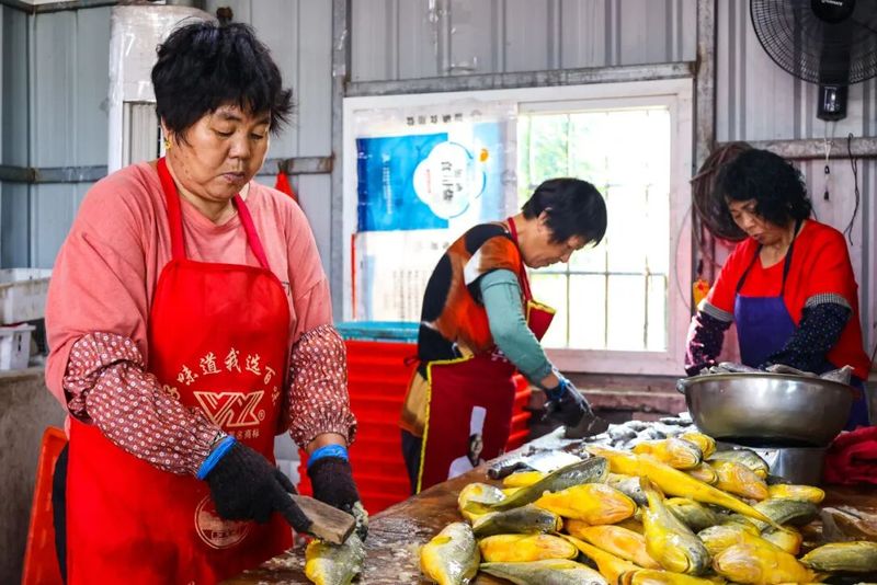 新鲜渔获上岸后，先要清洗、去除内脏，将其片成合适大小，再次洗净，撒上盐、糖等调料腌制一小时，随后均匀铺在晾晒网上，在秋日阳光下晾晒一日，便成就外干里嫩、紧实鲜香的鱼干。