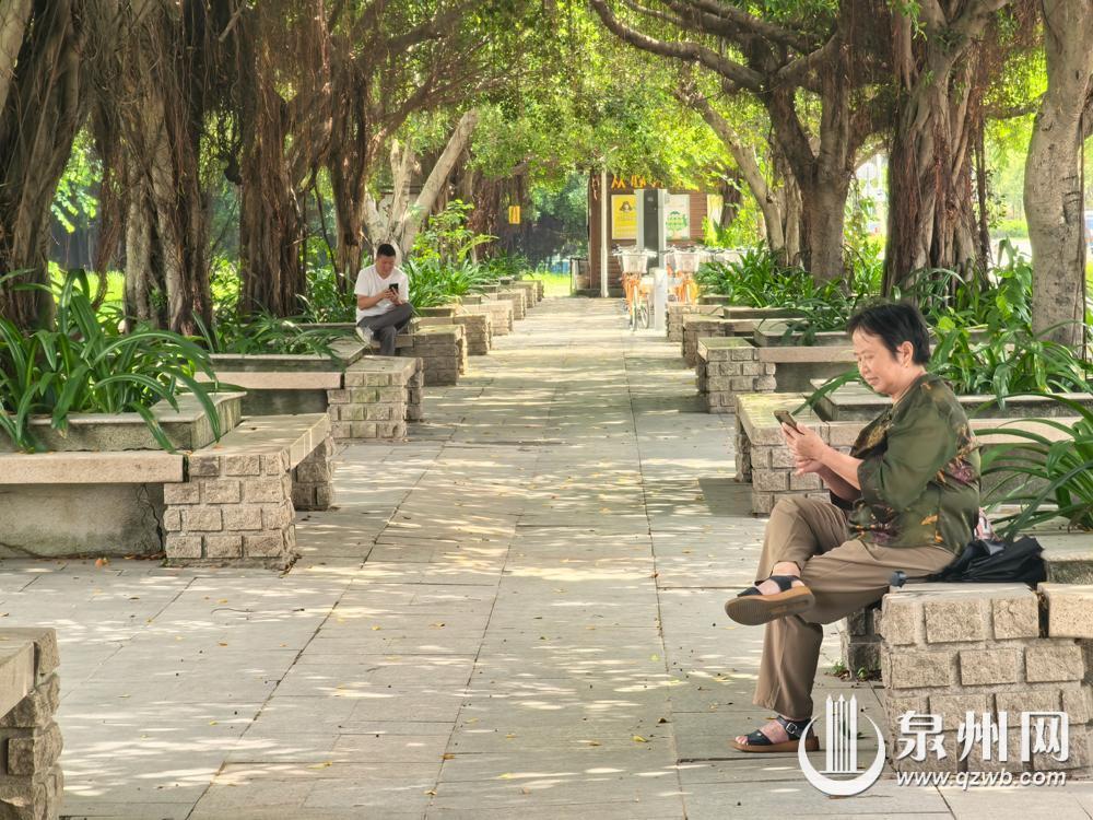 泉州持续打造口袋公园 盘活“金角银边” 织补城市幸福空间