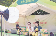 “福农优品·柚逢丰收” 福建邮政电商助农活动在平和举办