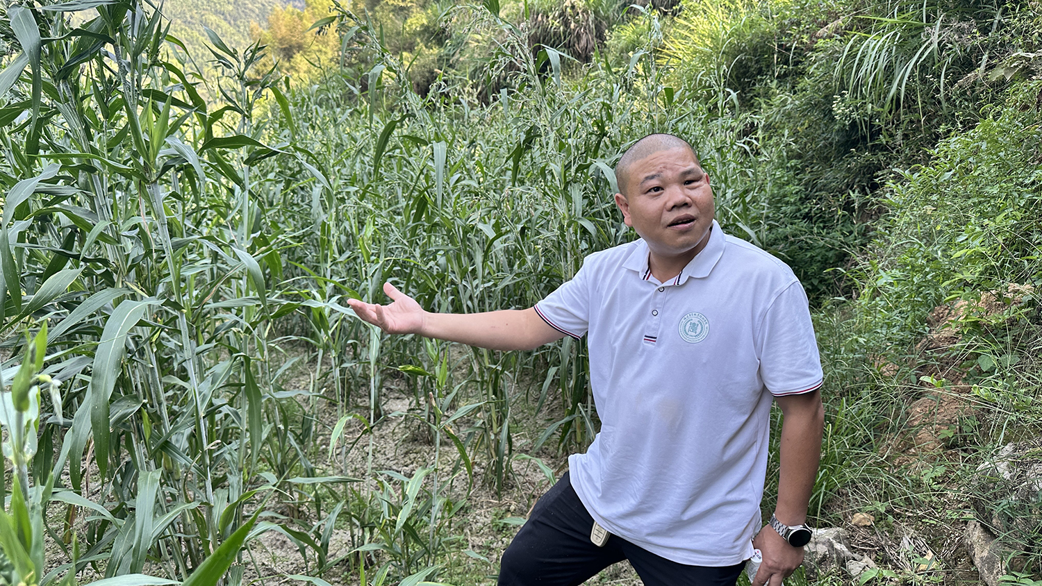 廖小洪向记者介绍浦城县官路乡的薏米。海峡网记者 李牧晨 摄
