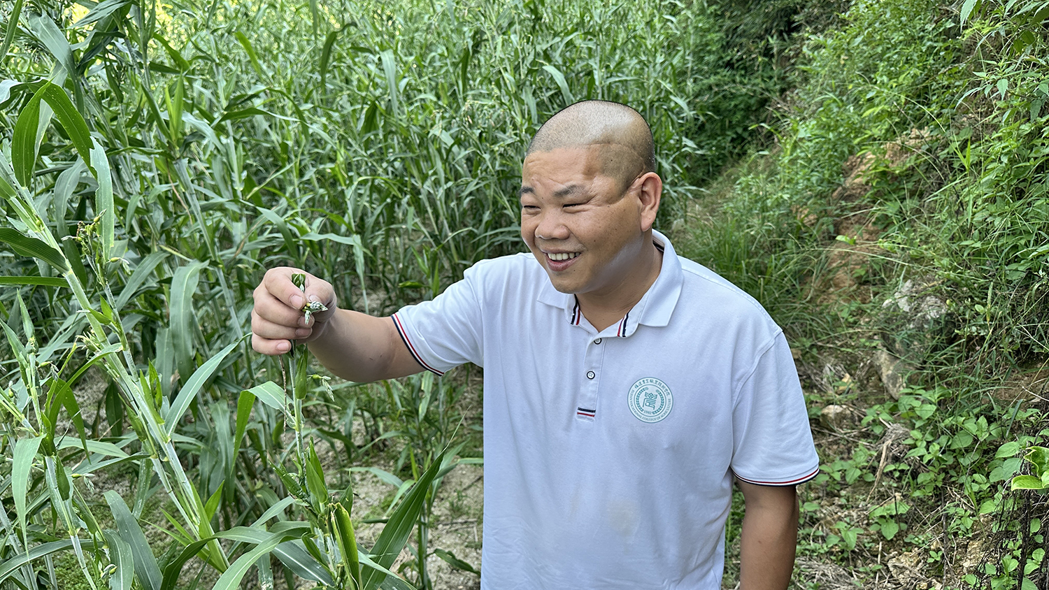 廖小洪对家乡的薏米充满期盼。海峡网记者 李牧晨 摄
