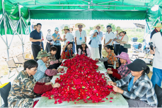 山海聚福籽 同心庆丰年1390